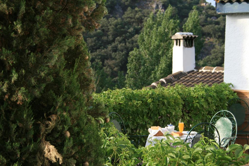 Rural Albamanjon Ruidera